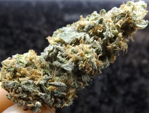 Marijuana Strain Review: Afghan Kush | Marijuana Games, Reviews, Research and More