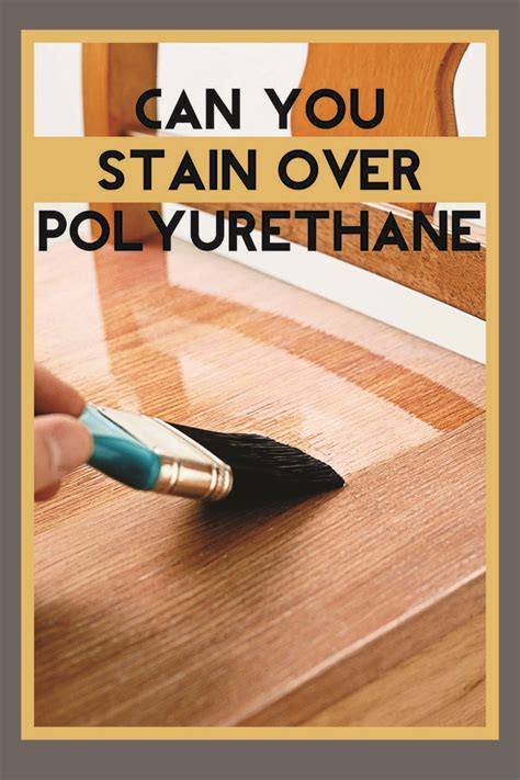 Can you stain over polyurethane | Stain, Polyurethane, Poly shades stain colors