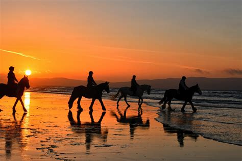 Beach Rides - Crindle Stables