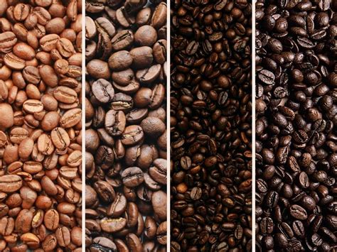 Ultimate Guide to Coffee Bean Roasts: Which One Is Best?