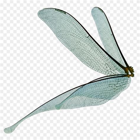 Dragonfly Fairy Wings Render By Frozenstocks On, HD Png Download ...