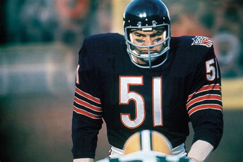 Bears linebacker Dick Butkus watches the offense... - SI Photo Blog