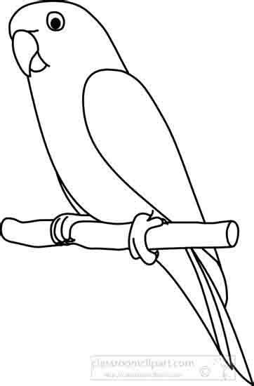 Animals : parrot_2_outline_22212 : Classroom Clipart