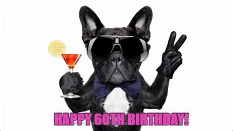 French Bulldog Happy Birthday GIFs - Find & Share on GIPHY
