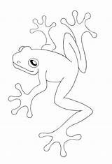 Free Printable Frog Coloring Pages For Kids sketch template