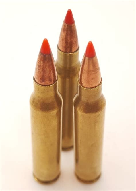 .223 Remington Varmint Ammo with 50 Grain V-Max Red Tip Bullets 50 Rounds ~ Now Shipping To ...