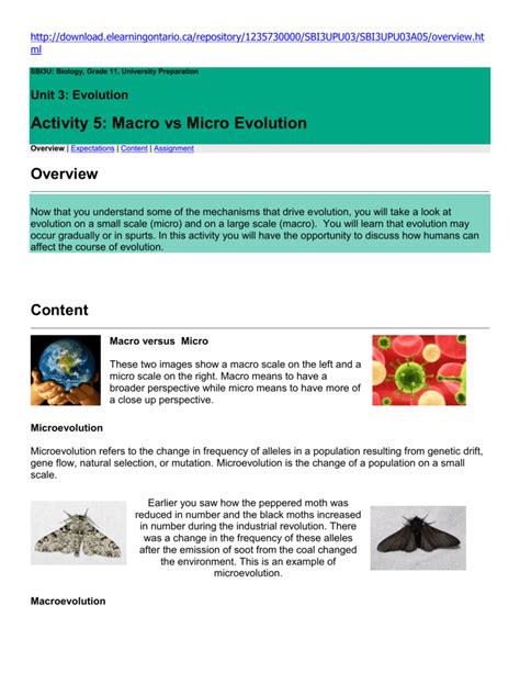 Activity 5: Macro vs Micro Evolution