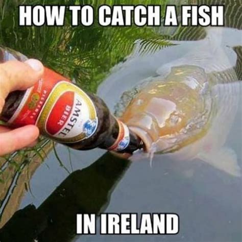 Funny Fishing Memes and Pictures