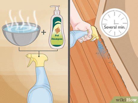 4 Ways to Get Rid of a Maggot Infestation - wikiHow