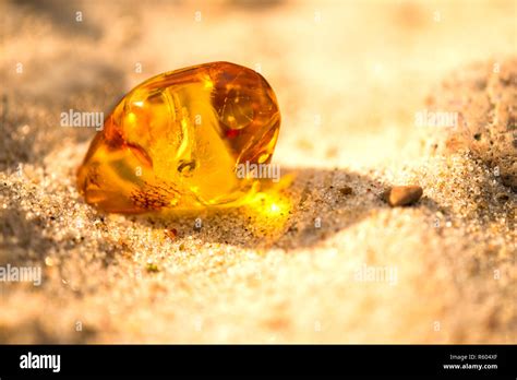 amber on the baltic sea beach Stock Photo - Alamy