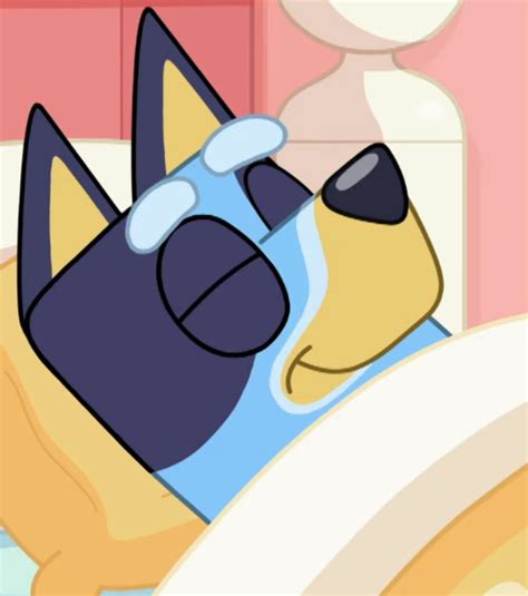 (Screenshot) Bluey Sleeping (S01E32) by Shiyamasaleem on DeviantArt