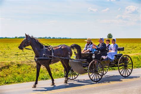 16 Things You Didn't Know About Amish People - Matador Network