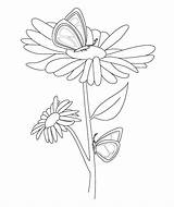 Free Printable Coloring Pages  Botanical PaperWorks sketch template