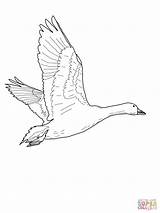 Flying Geese Coloring Pages At GetColoringscom  Free Printable sketch template