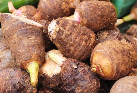 9 Health Benefits of Taro Roots & How to Consume Them