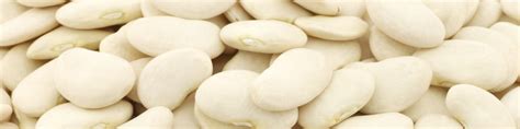 White Bean Allergy Test | Allergy testing