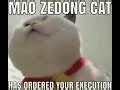 Steam Workshop::MAO ZEDONG CAT HAS ORDERED YOUR EXECUTION