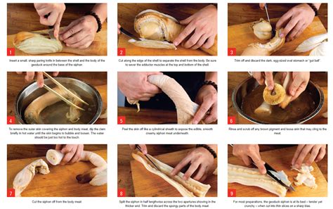 How to prepare Geoduck – Evergreen Seafood