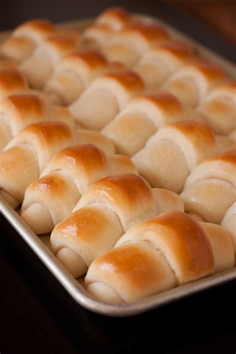 dinner rolls | Recipes, Dinner rolls recipe, Dinner rolls