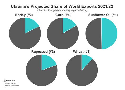 Ukraine's rising role in grain exports complicates impact of crisis | Reuters