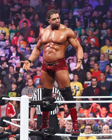 David Otunga Photograph by Wrestling Photos - Fine Art America