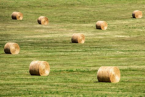 Field Of Large Round Bales Of Hay Photograph by Todd Klassy