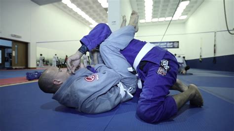 All Jiu Jitsu Clubs Training - YouTube