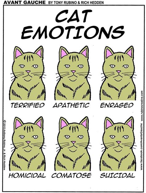 Ten Cats by Graham Harrop for Mar 29, 2018 | Cats, Cat t