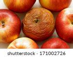 Rotten Apples Free Stock Photo - Public Domain Pictures