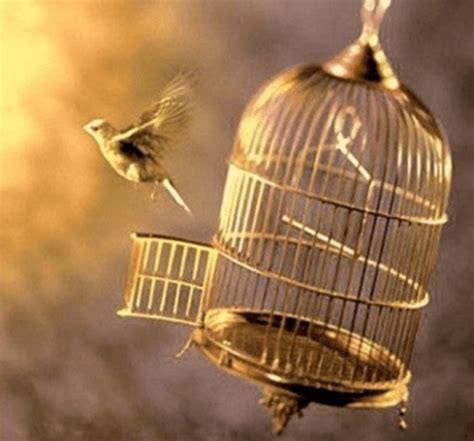 How Wonderful It Will Be To Set A Caged Bird Free! - LetterPile