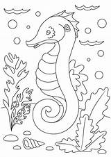 Free SEAHORSE Coloring Pages For Download Printable PDF sketch template