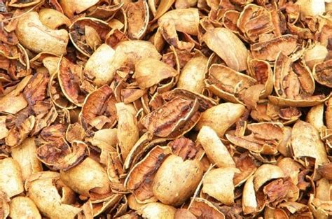 Buy Bulk Premium Pecan Nut Shells for Sale -Enhance your BBQ Experience