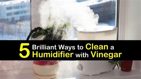 5 Brilliant Ways to Clean a Humidifier with Vinegar