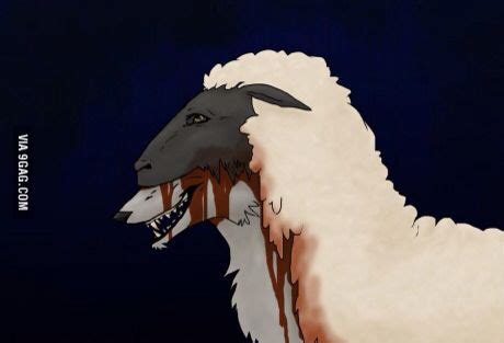 Serigala berbulu domba | Animal memes, Animals, Deep art