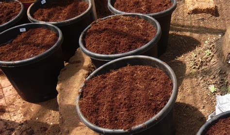 The Different Types Of Potting Soil – SC Garden Guru