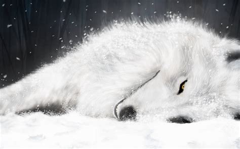 Wolf Wallpapers | Best Wallpapers