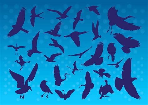 Flying Birds Silhouettes eps ai vector | UIDownload