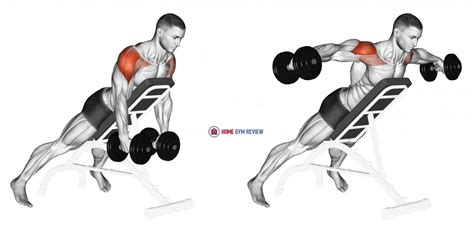 Dumbbell Incline Rear Lateral Raise - Home Gym Review