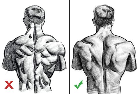 Best practice advice for capturing human anatomy | Hình vẽ cuộc sống, Vẽ thực tế, Hình giải phẫu