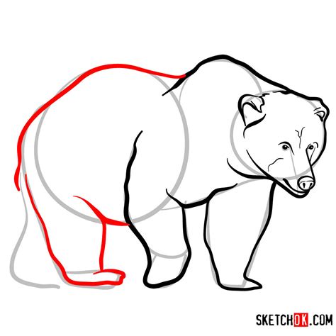 How to draw a Brown bear | Wild Animals - Sketchok easy drawing guides