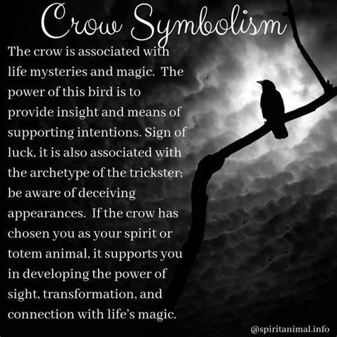 Pin by Jennifer Featherston on Spirituality memes | Crow spirit animal, Animal spirit guides ...