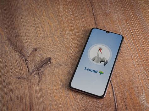 Launch Screen Of Leumit Health Services App Displaying Its Logo On The ...