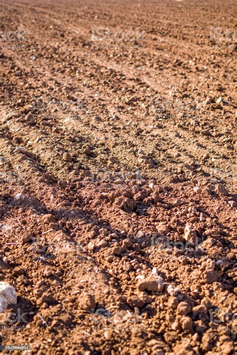 Garden Soil Texture Background Humus Soil Stock Photo - Download Image ...