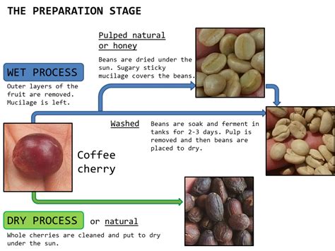 Coffee process – Engrano