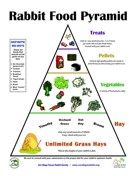 Rabbit Food Pyramid