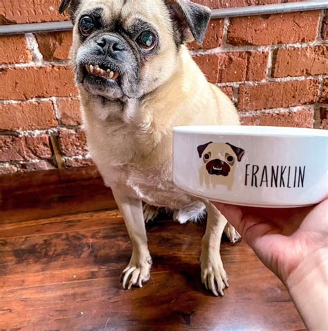 Pug Ceramic Food or Water Bowl Personalized With Custom Name | Etsy