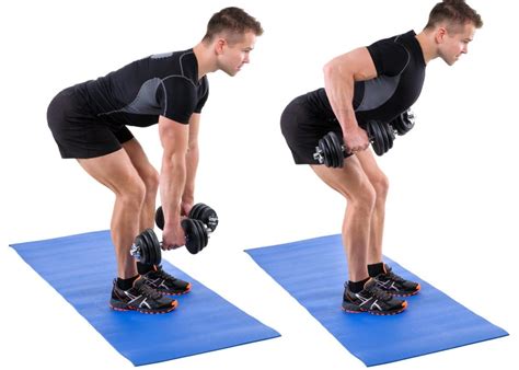 The 18 Best Dumbbell Back Exercises and Workouts – Fitness Volt