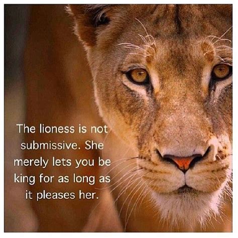 Lioness | Lion quotes, Lioness quotes, Inspirational quotes motivation