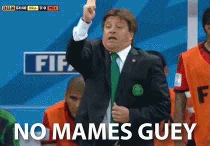 No Mames Guey GIF - Ay - Discover & Share GIFs