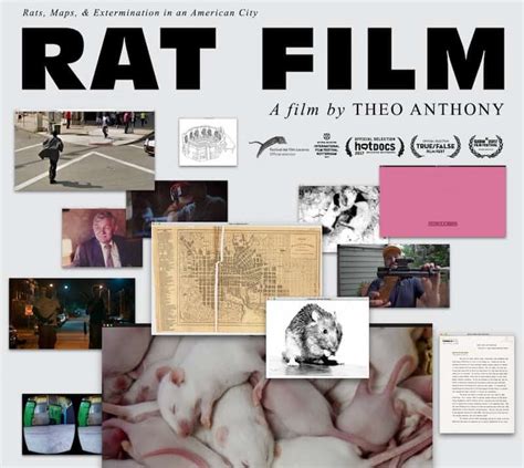 Rat Film – lapovertydept.org